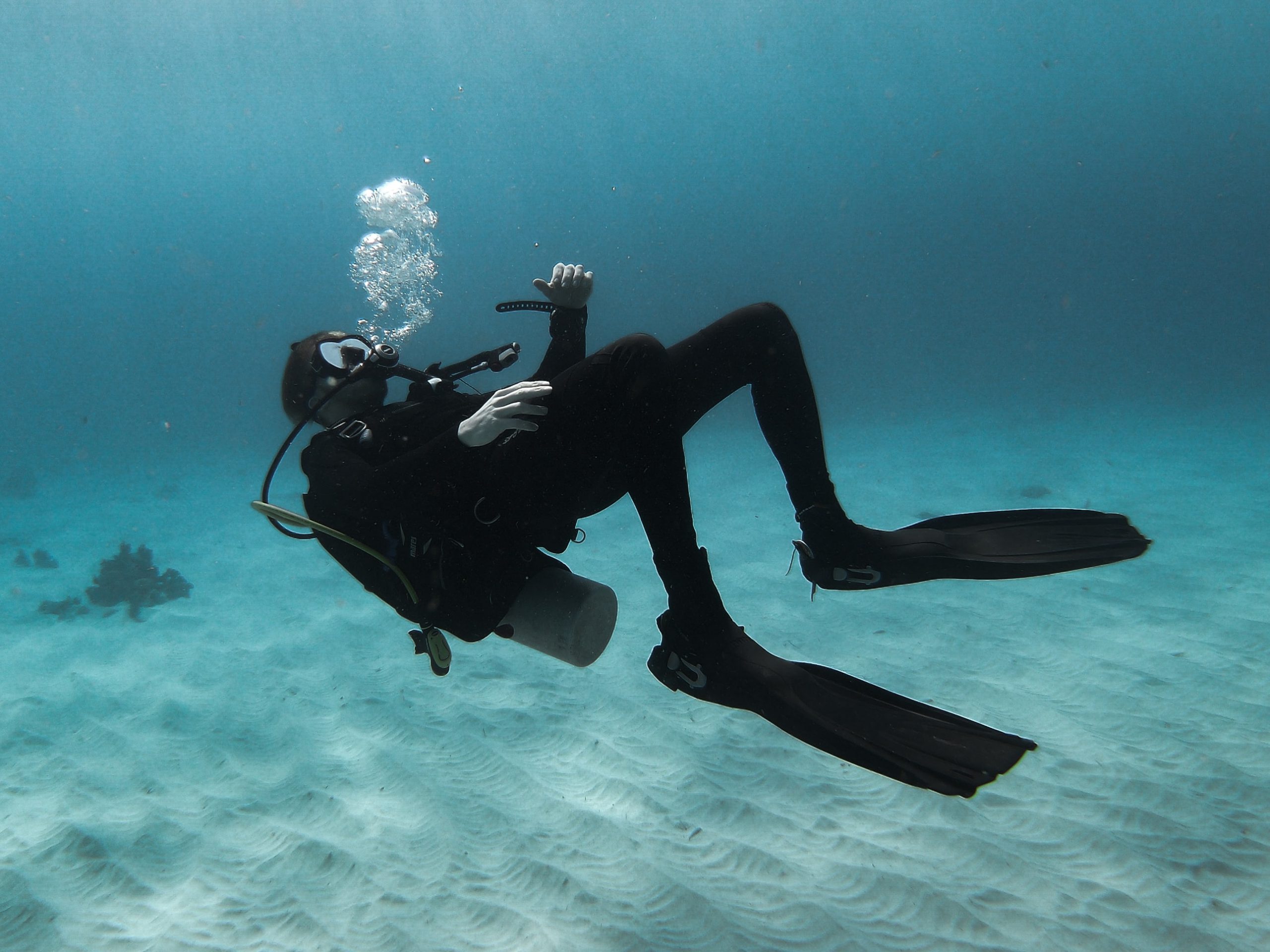 PADI Advanced Diver Dive Culture