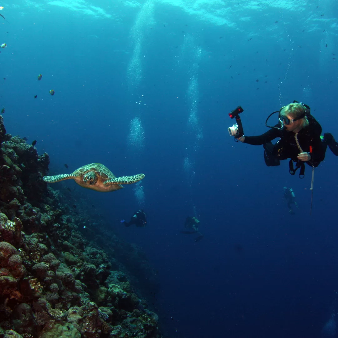 What Happens to Your Body While Scuba Diving?