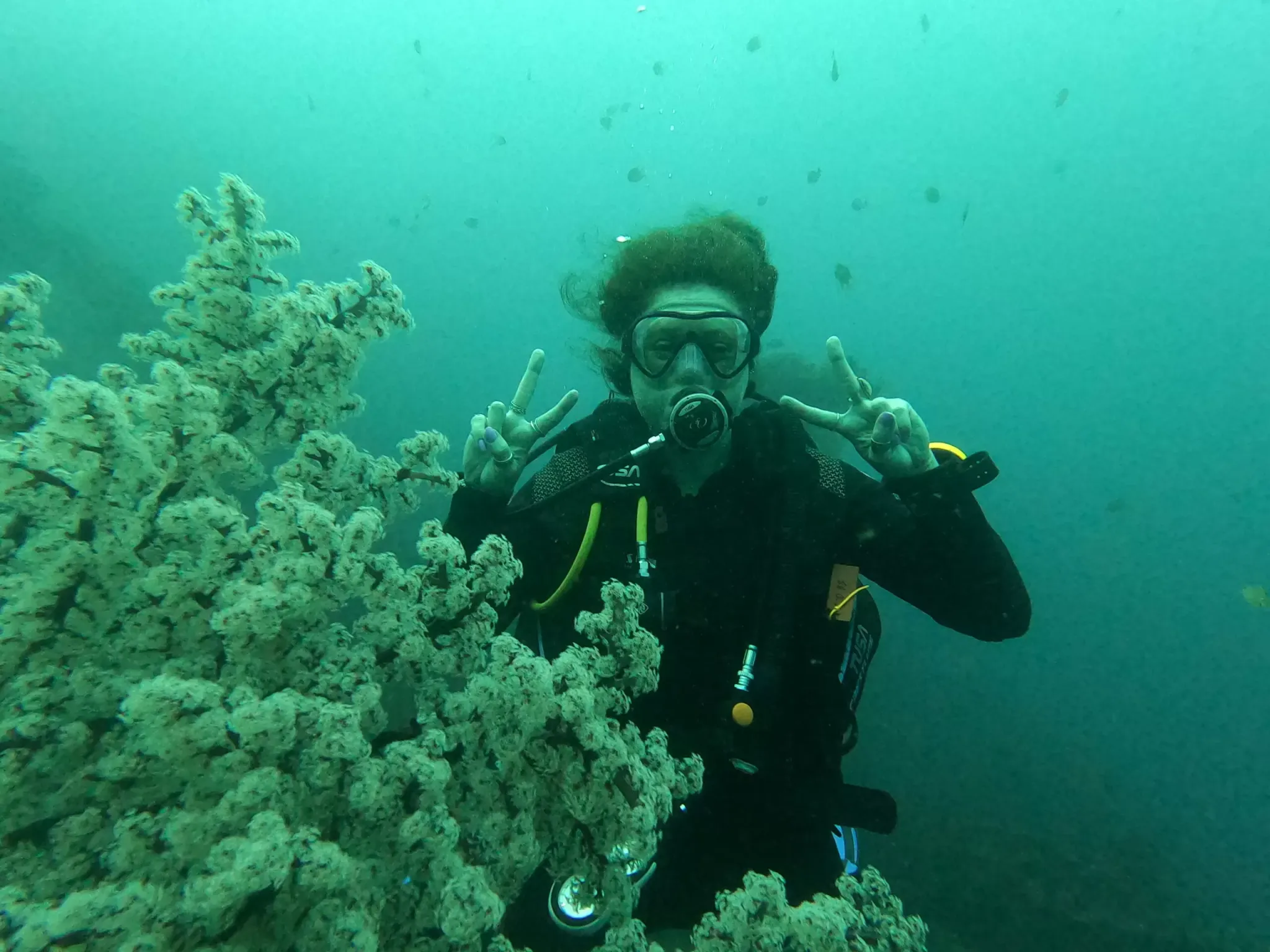 Submerged in Communication: Decoding the Underwater World of Scuba Dive Languages